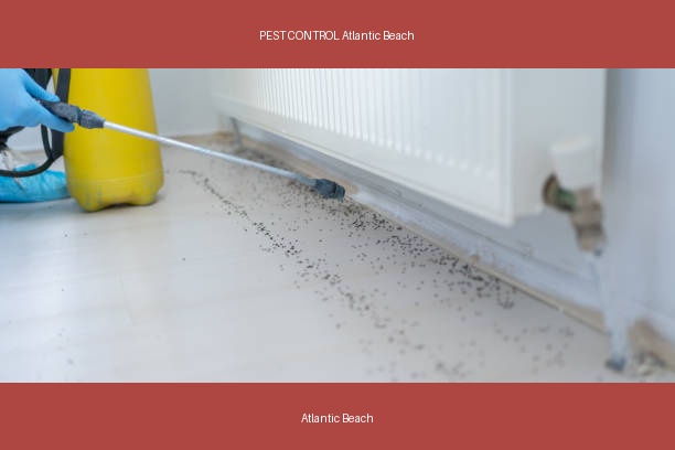 PEST CONTROL Atlantic Beach